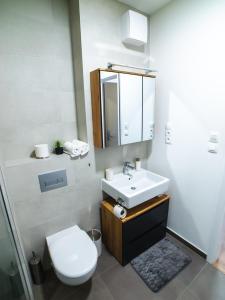 een badkamer met een wastafel, een toilet en een spiegel bij Doctor's Cosy Apartment in Lamač +13 foto's