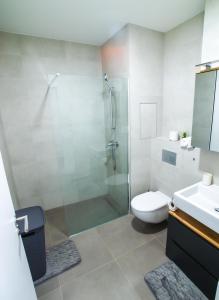 een badkamer met een douche, een toilet en een wastafel bij Doctor's Cosy Apartment in Lamač