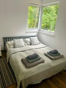 ein Schlafzimmer mit einem Bett mit zwei Kissen und zwei Fenstern in der Unterkunft Koziula - Domki i Leśne SPA na Kaszubach in Przywidz