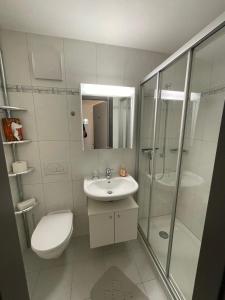 采尔马特Penthouse Matterhorn Vista的浴室里有马桶、洗手池和淋浴。