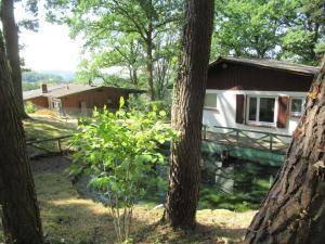 une cabane dans les bois avec un arbre dans l'établissement Ferienhäuser Mit Pool In Ruhiger Lage Am Waldrand, à Niederaula