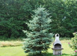 un albero di Natale in un cortile accanto a una casetta per gli uccelli di Fewo Stricker 13 a Walkenried Altre 26 foto