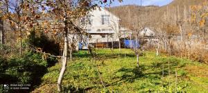 une vieille maison blanche dans une cour avec des arbres dans l'établissement Beloved Home, à Çilǝgir