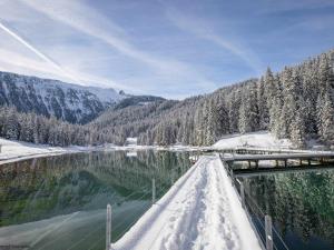 Příroda nedaleko apartmánu