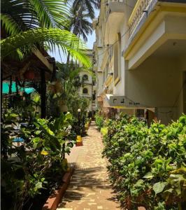 Κήπος έξω από το The Braganza Shoreline