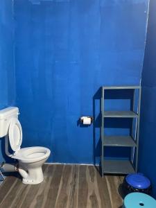 a blue bathroom with a toilet and a blue wall at Nirvana Beach Cottages in Canacona