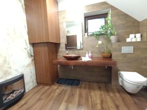 a bathroom with a sink and a toilet and a mirror at Apartmánový Dom Terchová in Terchová +28 photos