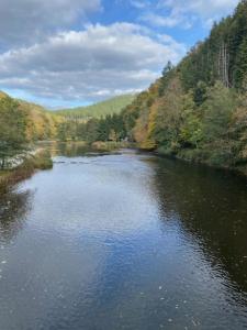 a view of a river from a bridge at Maboge 20C in La Roche-en-Ardenne