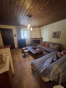 un salon avec deux lits et une table dans l'établissement Horizon Nest Parnassos Villa Chalet!, à Eptalofos