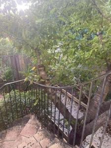 a tree behind a fence with a tree at La Résolue chambres d'hôtes in Millas