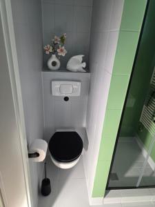 Un baño pequeño con un inodoro negro y un espejo. en Appartment Zweierlei, en Zingst