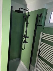 baño con ducha con paredes verdes en Appartment Zweierlei, en Zingst