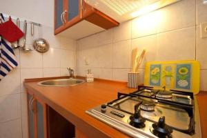 a kitchen with a stove and a sink at Studio In Einem Traditionellen Steinhaus, In Baska in Baška