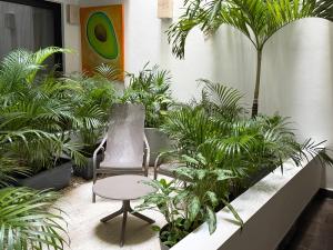 プラヤ・デル・カルメンにあるStudio de luxe Duna 206の植物と椅子とテーブルのある中庭