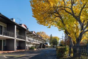 une rue déserte dans un complexe d'appartements bordé d'arbres dans l'établissement Super 8 by Wyndham Gananoque - Country Squire Resort, à Gananoque