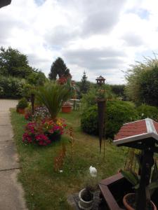 un jardin avec des fleurs et un kiosque dans l'établissement Hohlfeld, à Bad Schandau