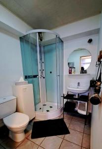 une salle de bains avec douche, toilettes et lavabo dans l'établissement Chez Martine, à Malmedy