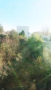 un campo di erba e cespugli con un edificio sullo sfondo di Appartement rénové 50M2 avec jardin a Boulogne-sur-Mer Altre 11 foto