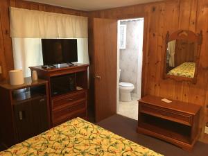 TV a/nebo společenská místnost v ubytování Doray Motel Lake George