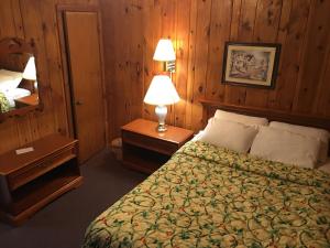 Postel nebo postele na pokoji v ubytování Doray Motel Lake George