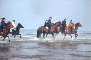a group of people riding horses on the beach at L Eucalyptus in Aumeville-Lestre