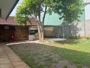 un árbol en un patio al lado de una casa en Home Dốc Mơ, en Xã Gia Tân