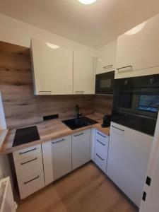 萨尔巴赫Apartment Hannah的带白色橱柜和水槽的厨房