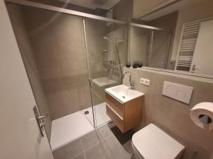 萨尔巴赫Apartment Hannah的带淋浴、马桶和水槽的浴室