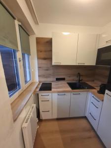 萨尔巴赫Apartment Hannah的带白色橱柜和水槽的小厨房 更多11张照片