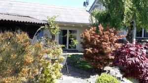 a house with a bunch of plants in front of it at Ferienhaus Für Sieben Personen in Friedrichshausen