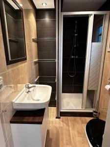 a bathroom with a sink and a shower at Chalet de Hunestee in Schoonloo