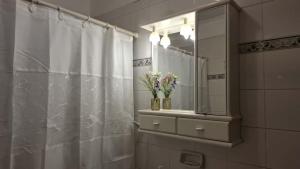 ein Bad mit einem Duschvorhang und einem Spiegel in der Unterkunft Cabañas lodge El Suizo in Gobernador Virasora