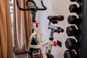 Фитнес-центр и/или тренажеры в Luxury Villa Vista Hills for 14 persons near Opatija with heated pool, sea view & wellness +47 фотографий