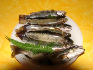 Φαγητό σε αυτό το διαμέρισμα ή κάπου εκεί κοντά +13 φωτογραφίες