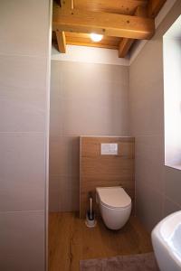 a bathroom with a toilet and a sink at Chalet Mara Liptov in Otilia