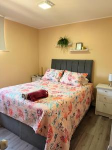 ein Schlafzimmer mit einem Bett mit geblümter Tagesdecke in der Unterkunft Dep full equipado en el centro de la ciudad modernidad 3 habitaciones 1 baño in Rancagua