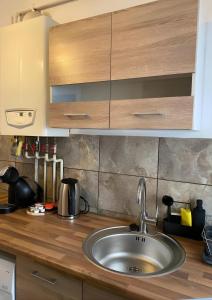 Η κουζίνα ή μικρή κουζίνα στο Complex Casa Buna Vestire +71 φωτογραφίες