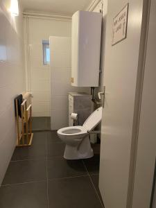 - une salle de bains avec des toilettes blanches dans une cabine dans l'établissement revLIVING Apartment Octavus Hohenwarth 3 Schlafzimmer, à Hohenwarth