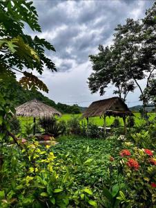 a garden with two straw umbrellas and flowers at Phong Nha Rice Field Homestay in Phong Nha