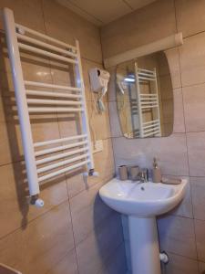 a bathroom with a sink and a mirror at Maganiskhedi in Mtskheta
