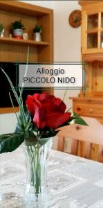 un vase avec une rose rouge assise sur une table dans l'établissement PICCOLO NIDO, à San Lorenzo in Banale