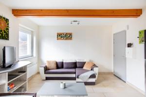 un salon avec un canapé et une télévision dans l'établissement Appartement agréable proche Colmar, à Andolsheim