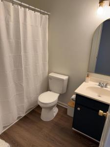 Ванная комната в Downtown 3 BR, 2 BA newly renovated home close to Castle St