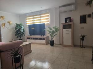 a living room with a flat screen tv and potted plants at Loft paradisse in Melilla