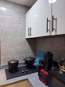 Η κουζίνα ή μικρή κουζίνα στο Bim Posh Apartment