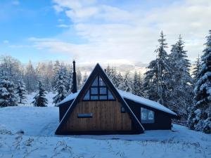 una cabaña en la nieve con árboles nevados en Gorje Tara, en Sekulić 