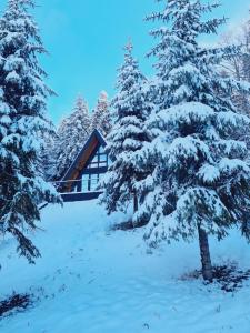 una cabaña en el bosque con árboles nevados en Gorje Tara, en Sekulić  4 fotos más