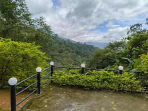 Příroda nedaleko prázdninového domu