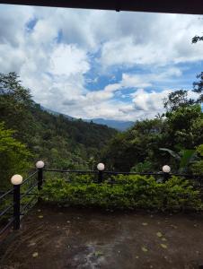 Příroda nedaleko prázdninového domu + 6 fotografií