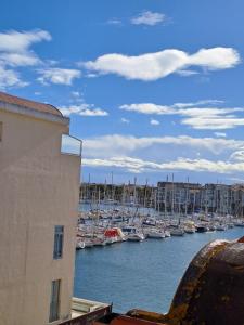 a bunch of boats are docked in a harbor at Spacieux duplex sur le port in Gruissan